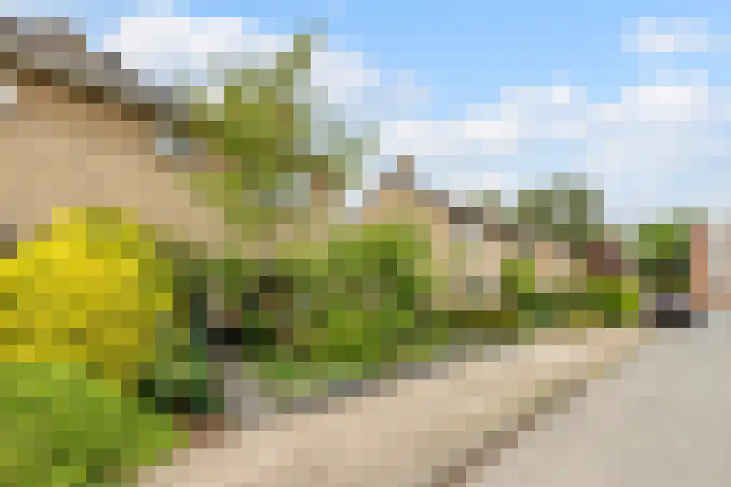 Zeemanstraat 13 Wageningen thumbnail 65