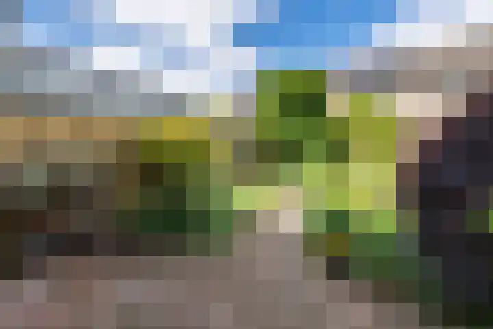 Zeemanstraat 15 Ridderkerk thumbnail 10