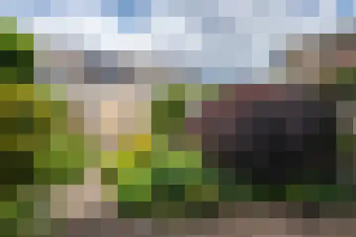 Zeemanstraat 15 Ridderkerk thumbnail 11