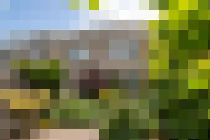 Zeemanstraat 15 Ridderkerk thumbnail 12