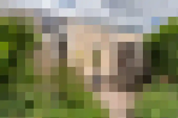 Zeemanstraat 15 Ridderkerk thumbnail 13
