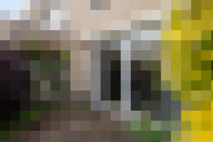 Zeemanstraat 15 Ridderkerk thumbnail 14