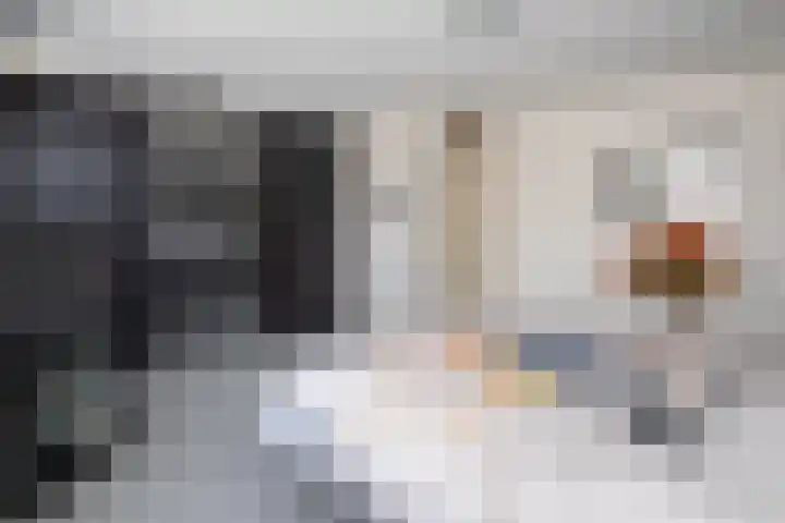 Zeemanstraat 15 Ridderkerk thumbnail 17