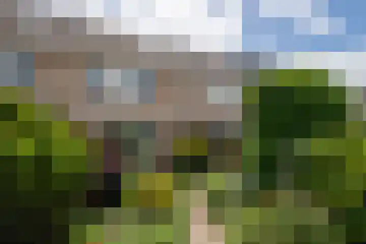Zeemanstraat 15 Ridderkerk thumbnail 26