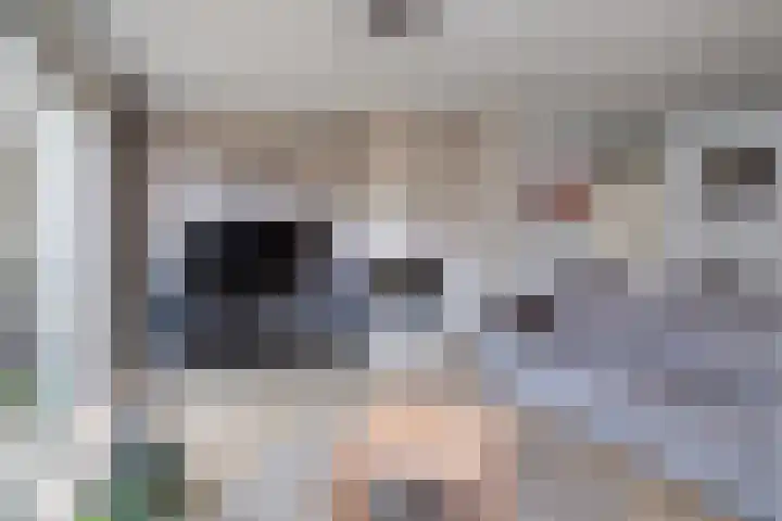 Zeemanstraat 15 Ridderkerk thumbnail 4