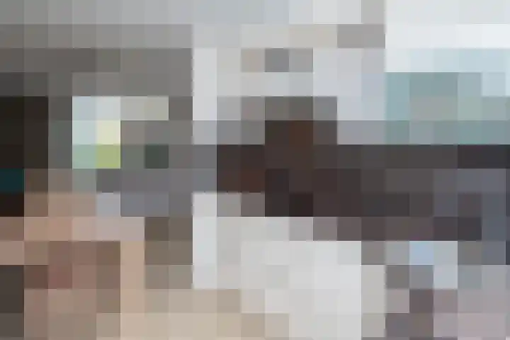 Zeemanstraat 15 Ridderkerk thumbnail 8