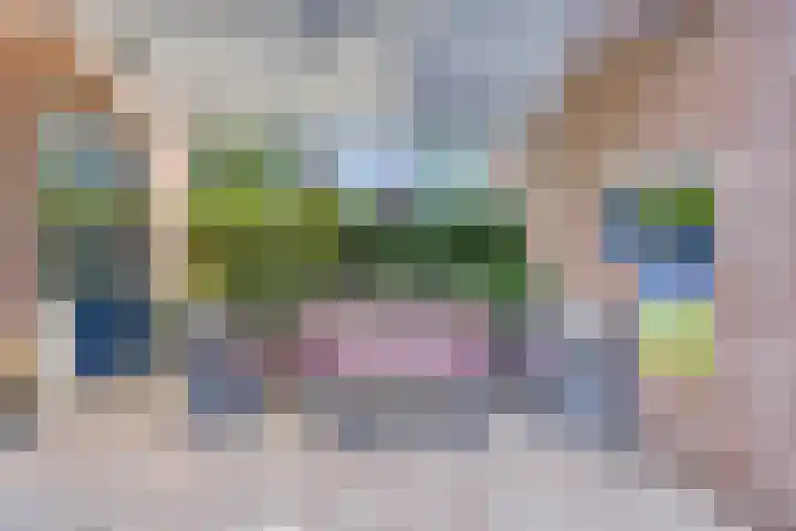 Zeemanstraat 16 Wageningen thumbnail 33