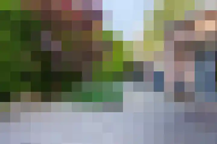 Zeemanstraat 16 Wageningen thumbnail 35