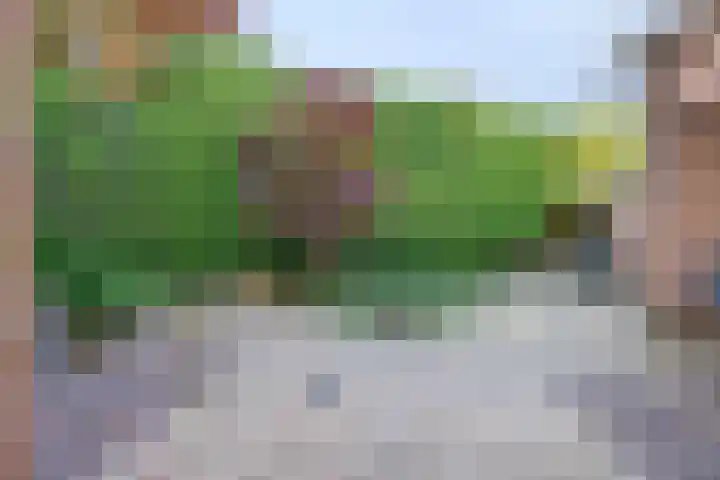 Zeemanstraat 16 Wageningen thumbnail 36