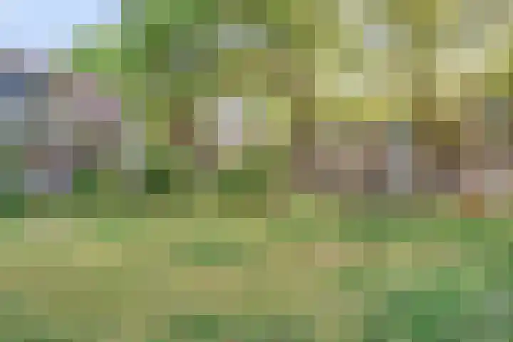 Zeemanstraat 16 Wageningen thumbnail 39