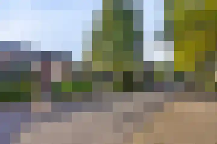 Zeemanstraat 16 Wageningen thumbnail 6