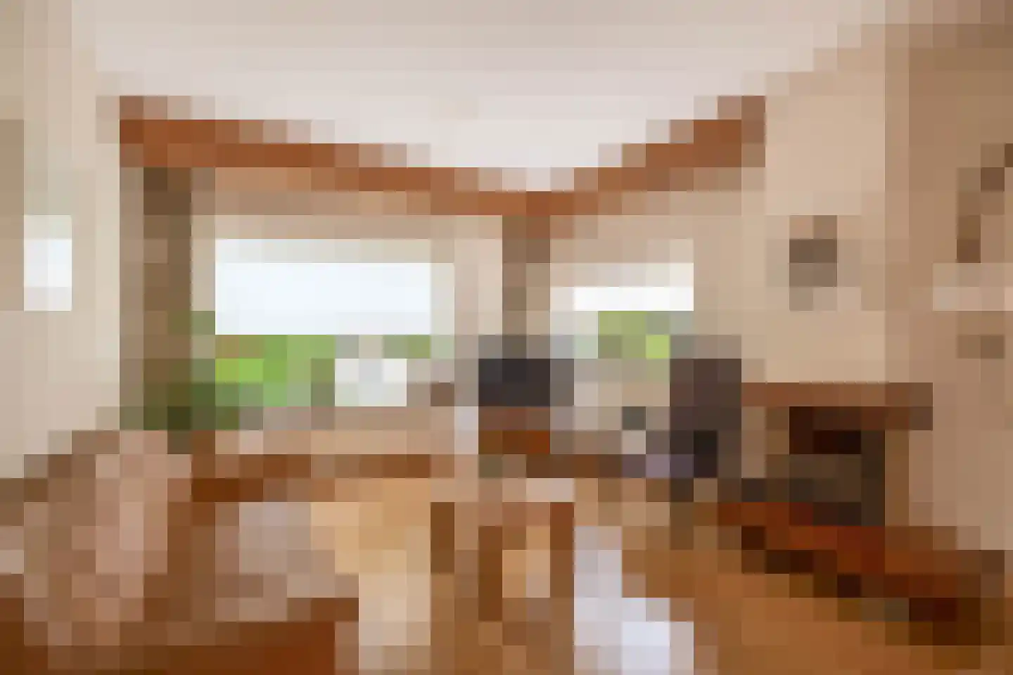 Zeemanstraat 19 Wageningen thumbnail 9