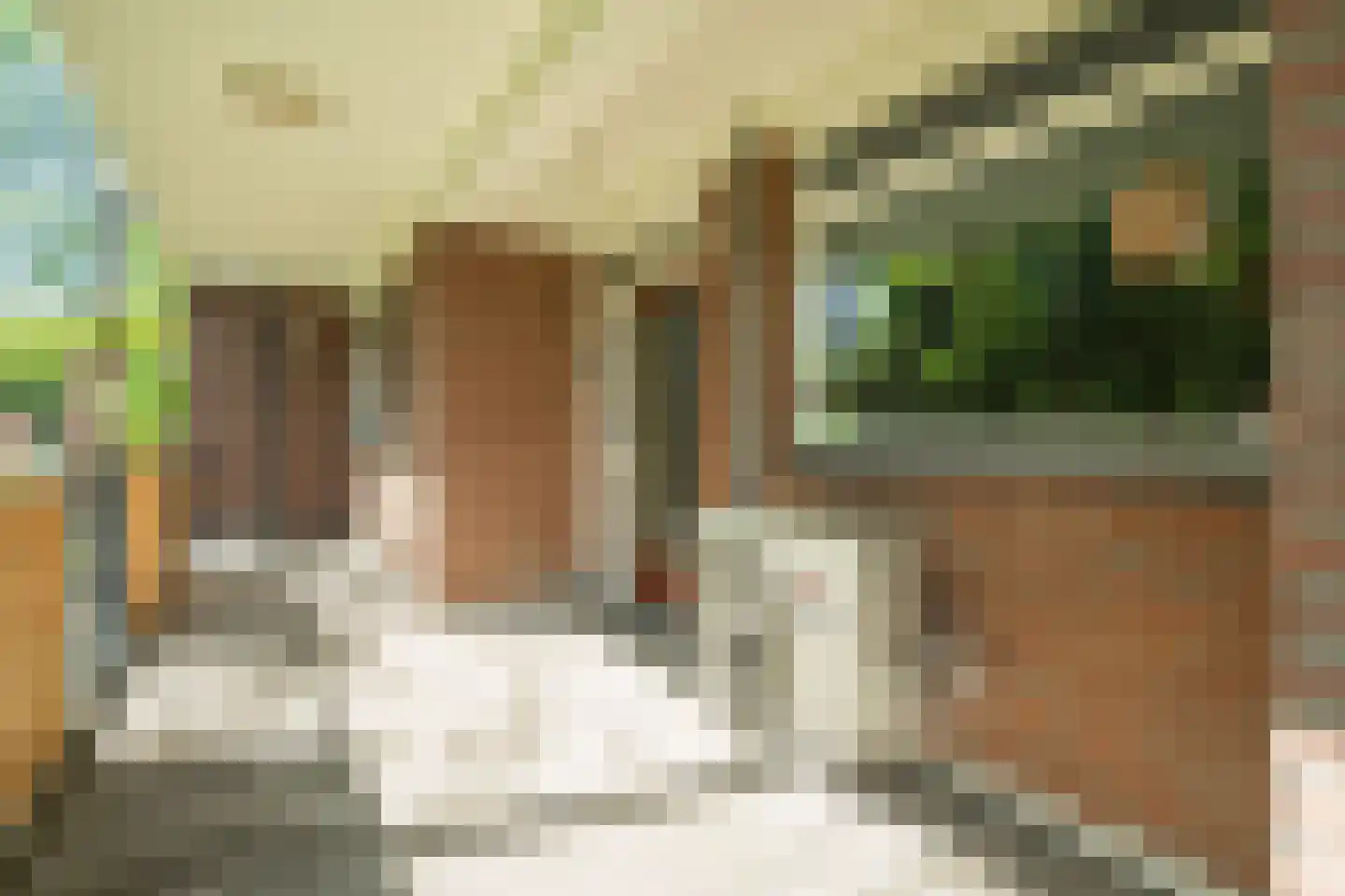 Zeemanstraat 2 I Wageningen thumbnail 6