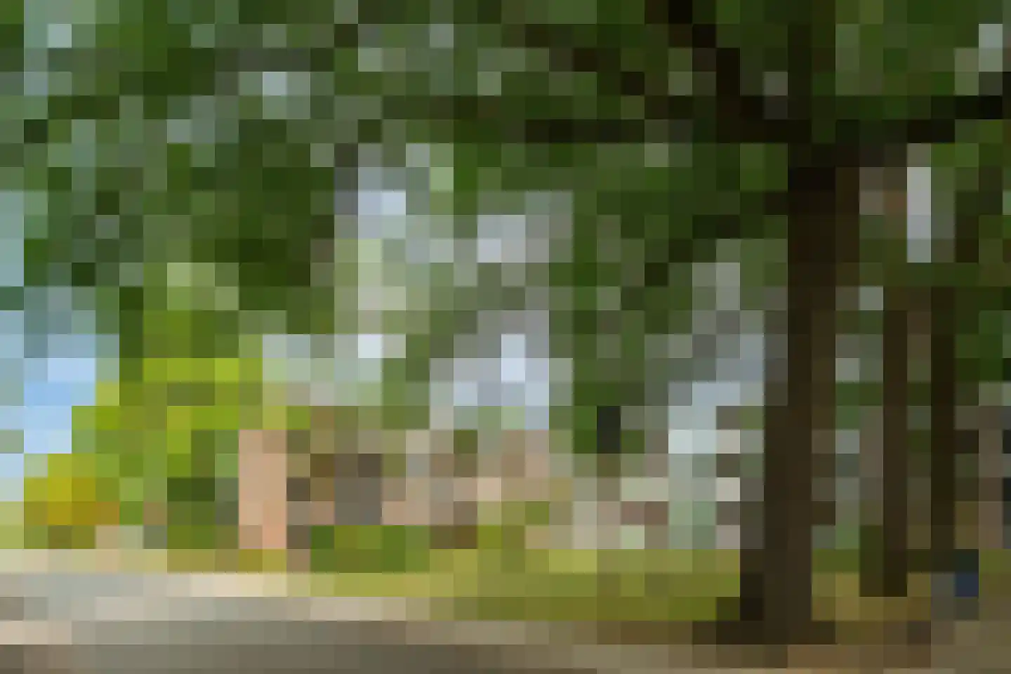 Zeemanstraat 2 III Wageningen thumbnail 23
