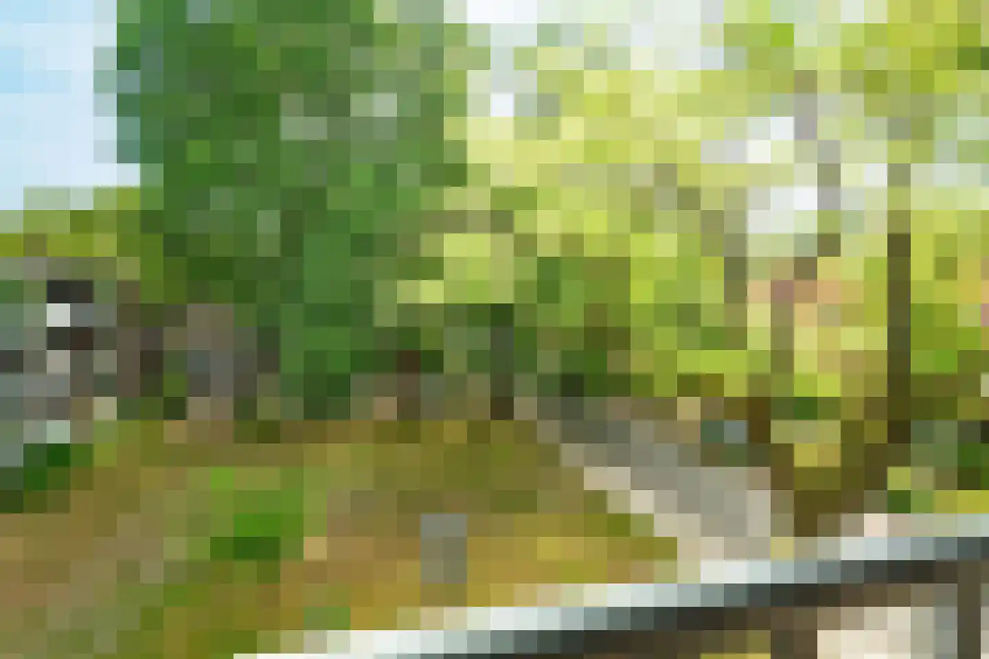 Zeemanstraat 2 III Wageningen thumbnail 7