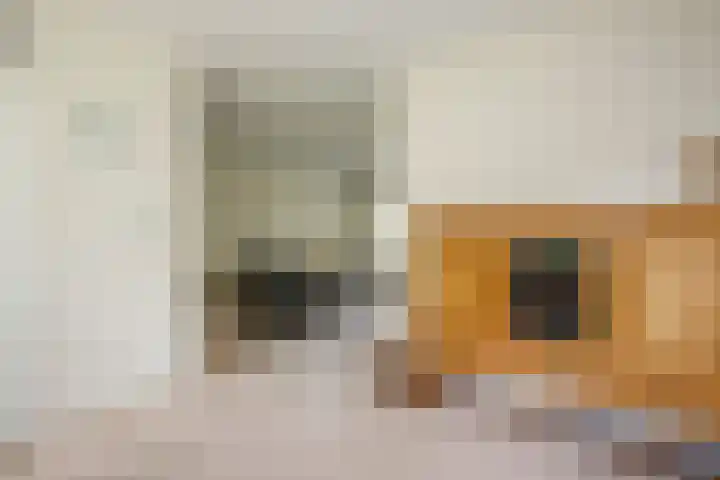 Zeemanstraat 2 Nieuwerkerk aan den IJssel thumbnail 12