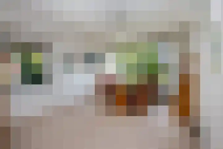 Zeemanstraat 2 Nieuwerkerk aan den IJssel thumbnail 14