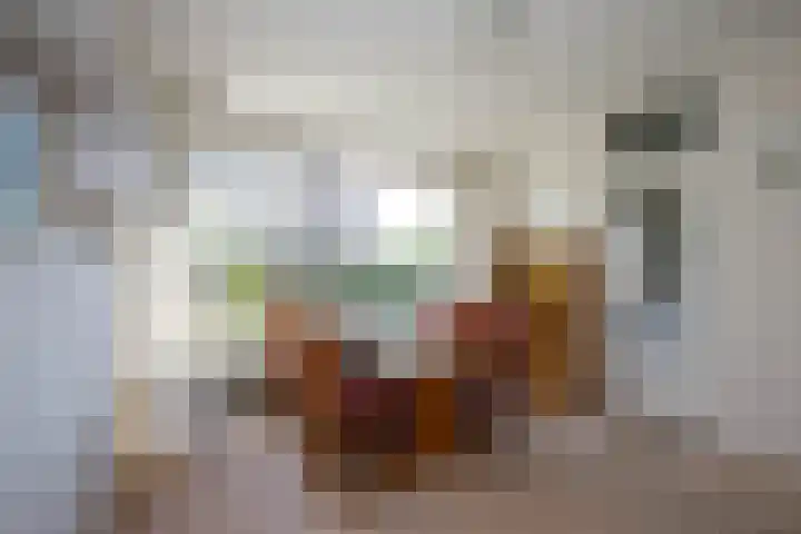 Zeemanstraat 2 Nieuwerkerk aan den IJssel thumbnail 15