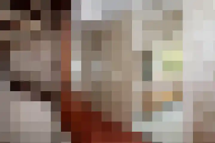 Zeemanstraat 2 Nieuwerkerk aan den IJssel thumbnail 22