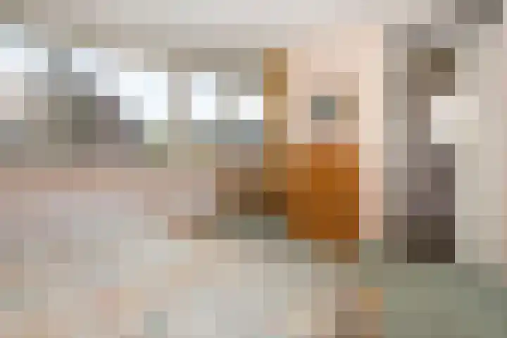 Zeemanstraat 2 Nieuwerkerk aan den IJssel thumbnail 25