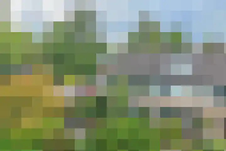 Zeemanstraat 2 Nieuwerkerk aan den IJssel thumbnail 4