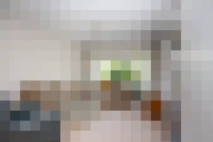 Zeemanstraat 2 Nieuwerkerk aan den IJssel thumbnail 8
