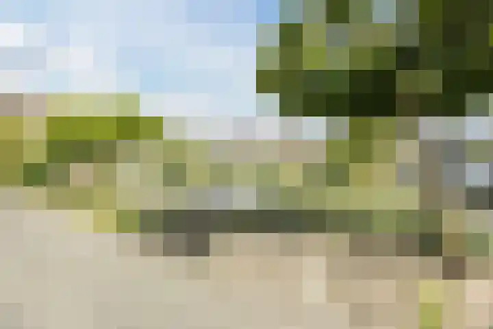 Zeemanstraat 25 Ridderkerk thumbnail 46