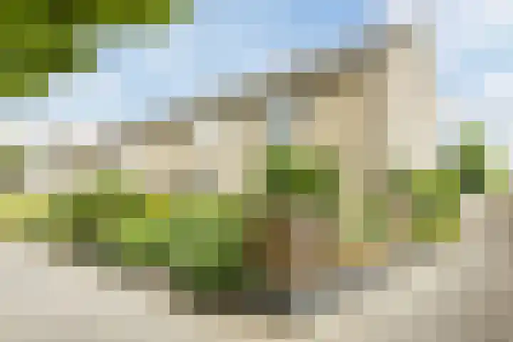 Zeemanstraat 25 Ridderkerk thumbnail 6
