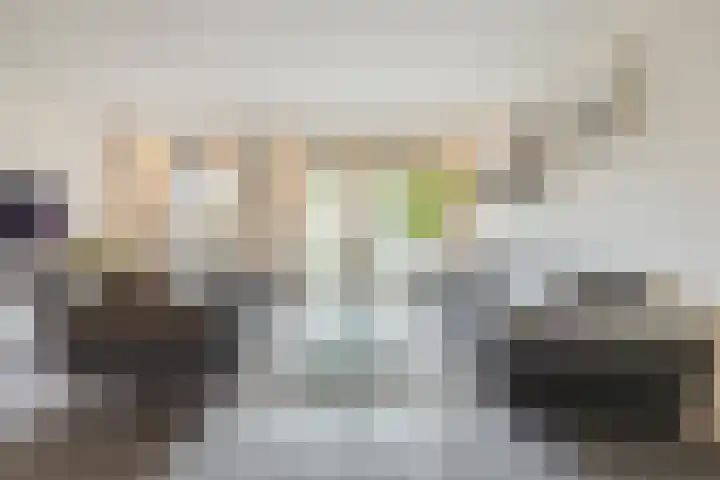 Zeemanstraat 25 Ridderkerk thumbnail 8
