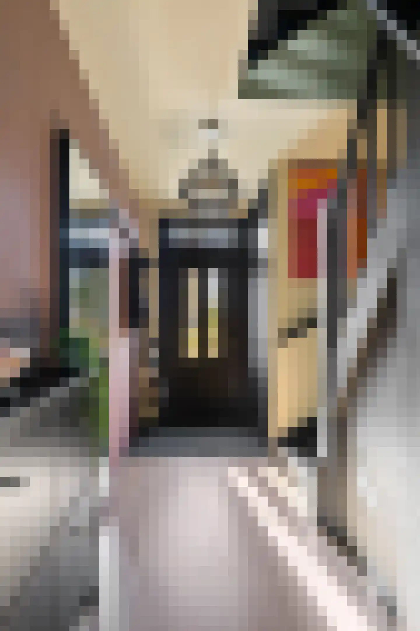 Zeemanstraat 4 Assen thumbnail 18