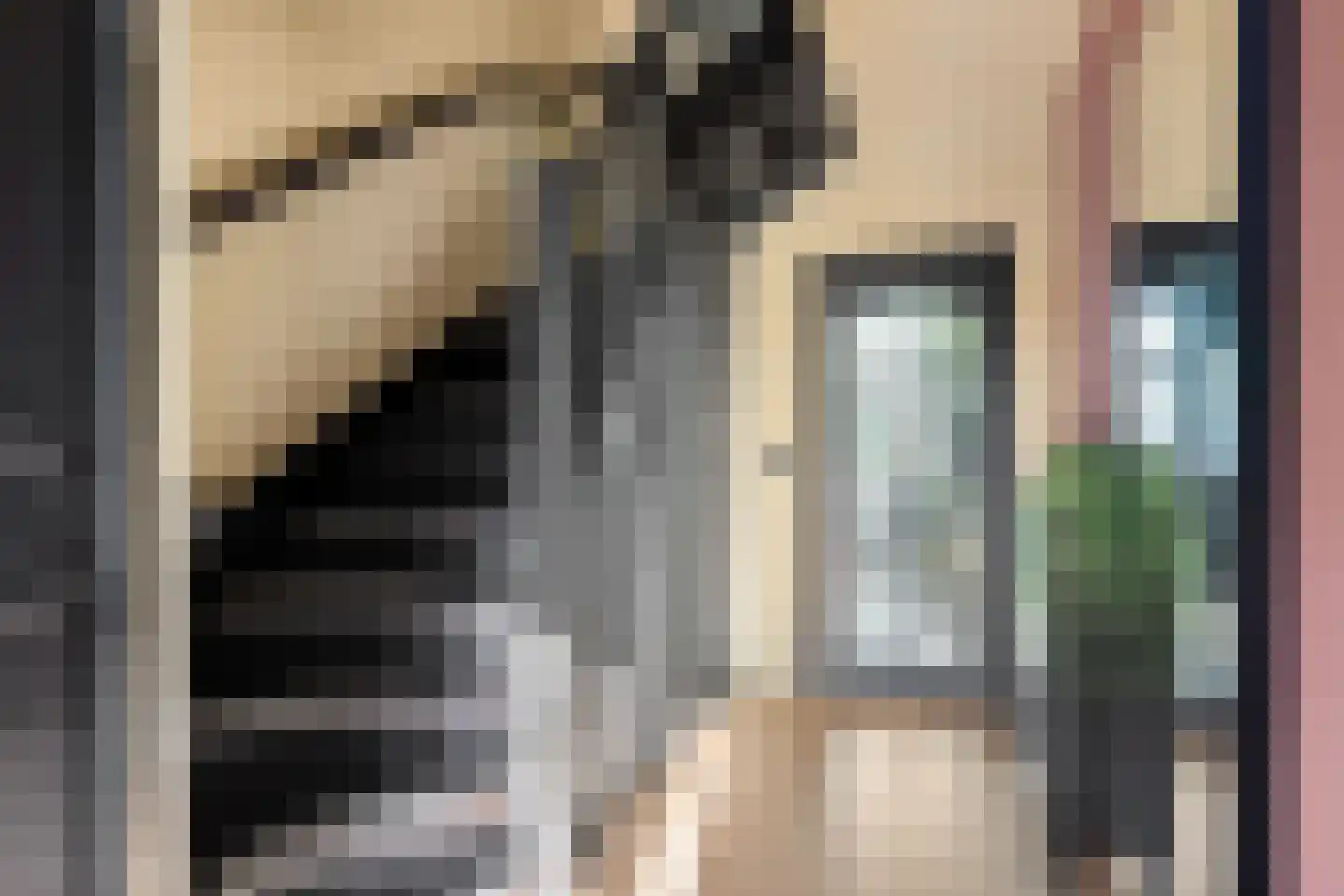 Zeemanstraat 4 Assen thumbnail 20