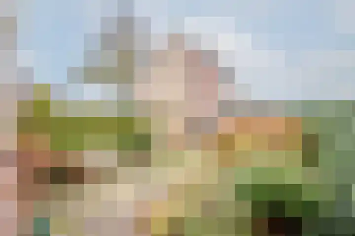 Zeemanstraat 4 Nieuwerkerk aan den IJssel thumbnail 34