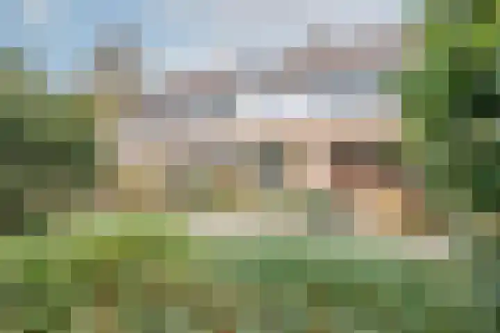 Zeemanstraat 4 Nieuwerkerk aan den IJssel thumbnail 4