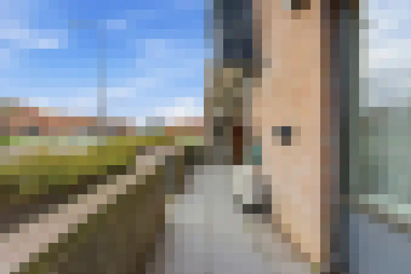 Zeemanstraat 54 Ridderkerk thumbnail 11