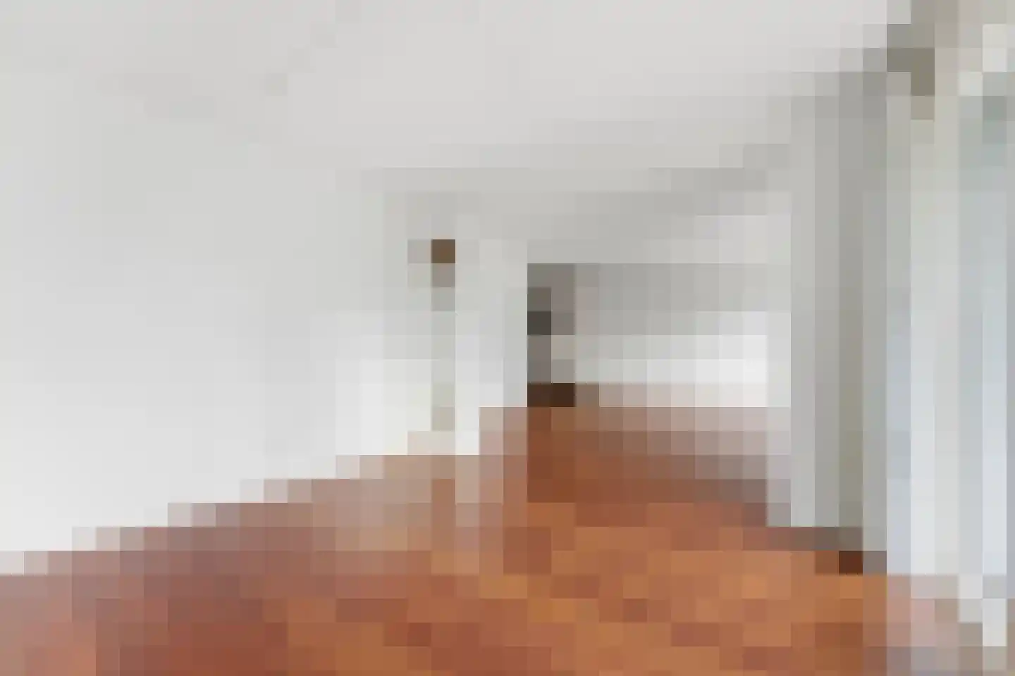 Zeemanstraat 54 Ridderkerk thumbnail 12