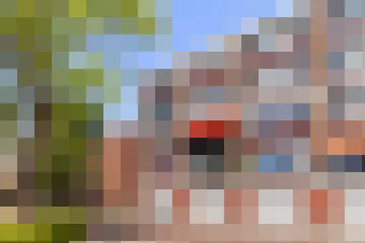 Zeemanstraat 64 Vlaardingen thumbnail 33