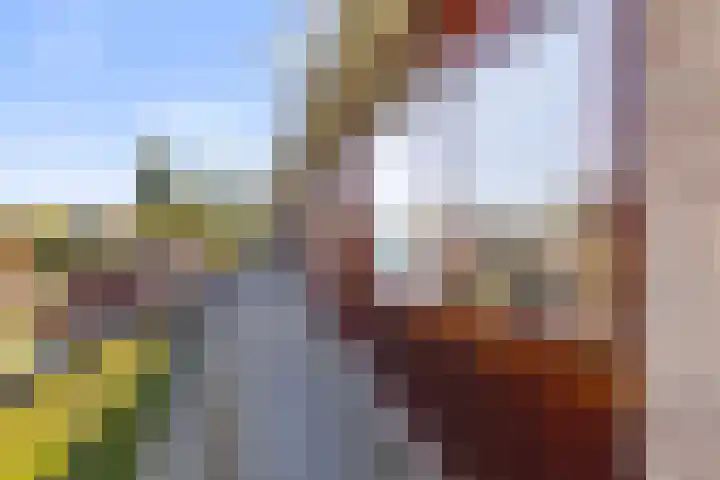 Zeemanstraat 64 Vlaardingen thumbnail 6