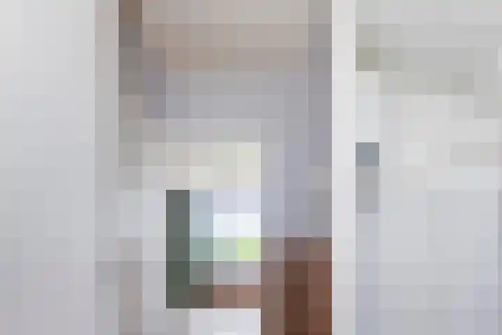 Zeemanstraat 64 Vlaardingen thumbnail 7