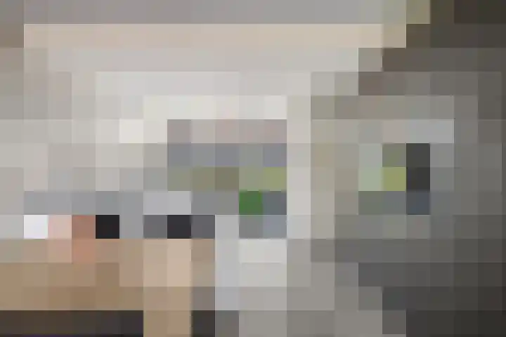 Zeemanstraat 7 Nieuwerkerk aan den IJssel thumbnail 10