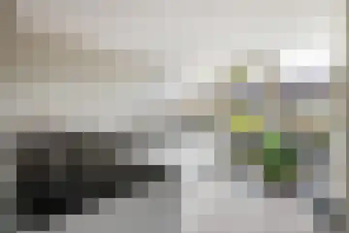 Zeemanstraat 7 Nieuwerkerk aan den IJssel thumbnail 12