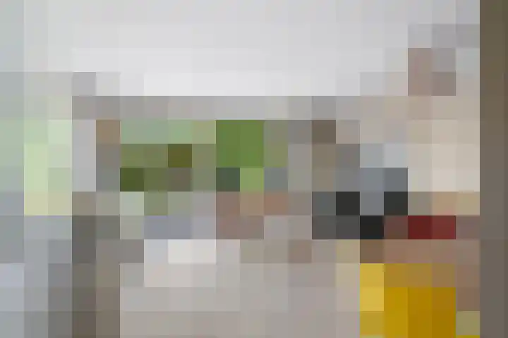 Zeemanstraat 7 Nieuwerkerk aan den IJssel thumbnail 22