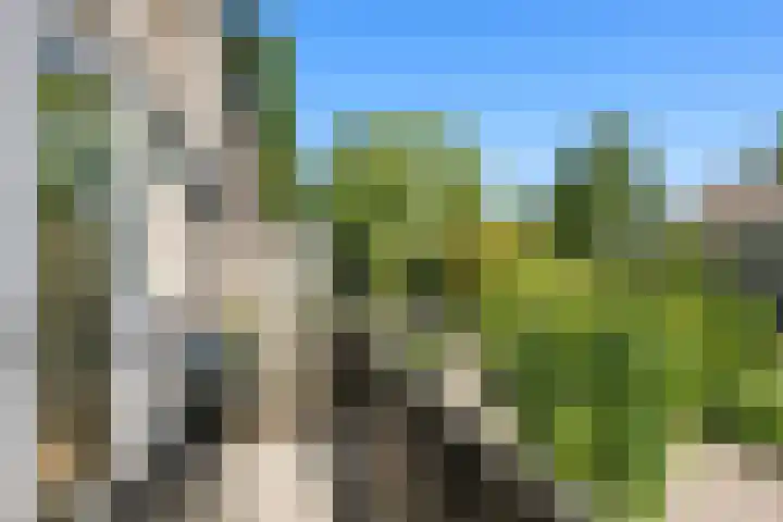 Zeemanstraat 7 Nieuwerkerk aan den IJssel thumbnail 37