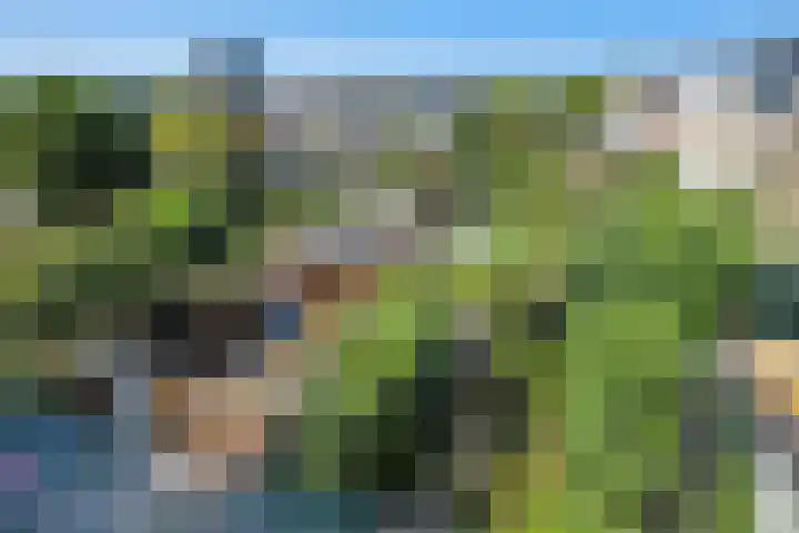 Zeemanstraat 7 Nieuwerkerk aan den IJssel thumbnail 38