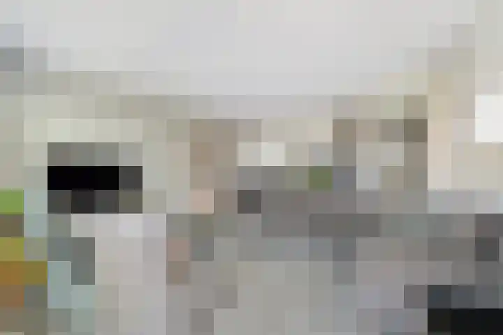 Zeemanstraat 7 Nieuwerkerk aan den IJssel thumbnail 8