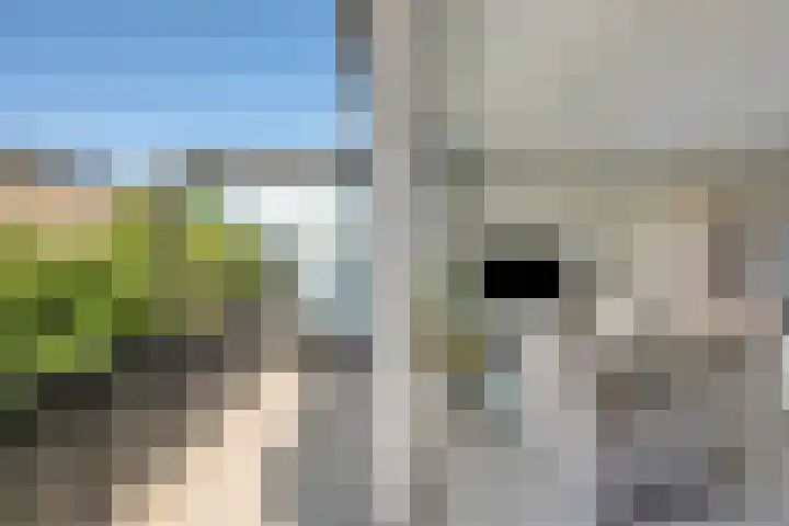 Zeemanstraat 7 Nieuwerkerk aan den IJssel thumbnail 9