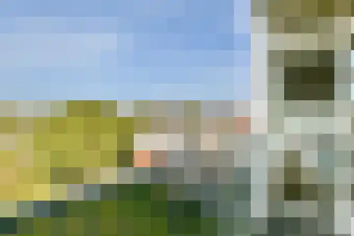 Zeemanstraat 78 Vlaardingen thumbnail 15