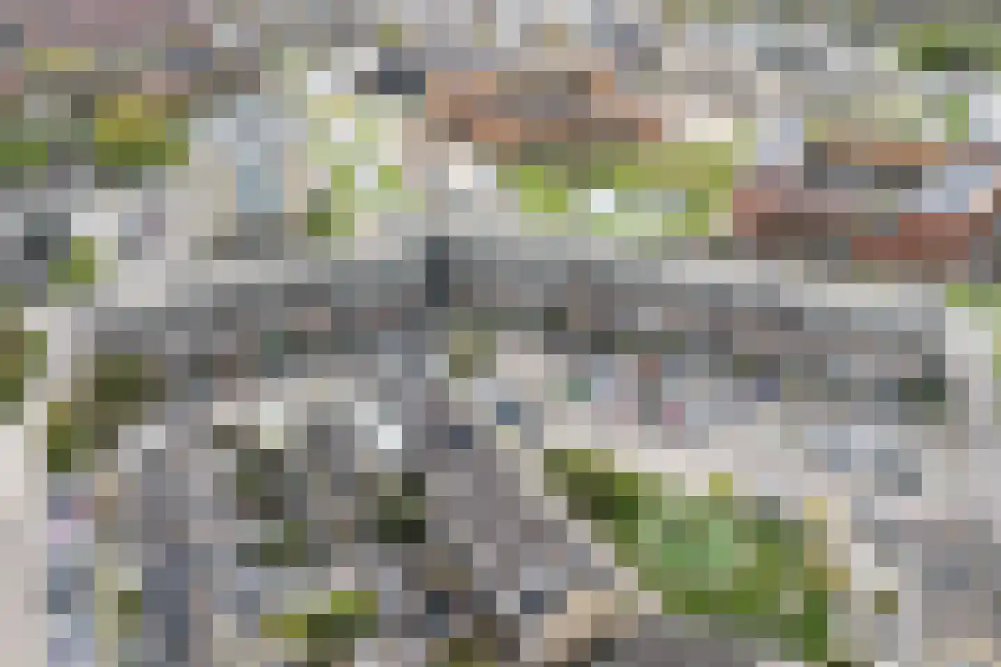 Zeemanstraat 92 Ridderkerk thumbnail 38