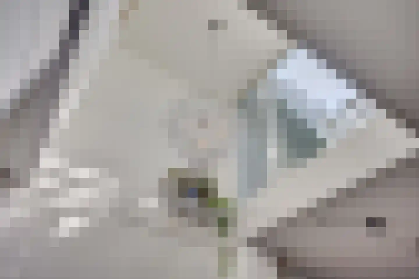 Zeemeeuwhof 15 Utrecht thumbnail 14