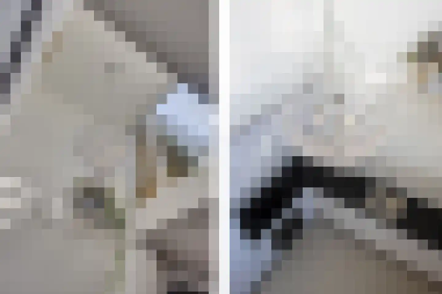 Zeemeeuwhof 15 Utrecht thumbnail 15