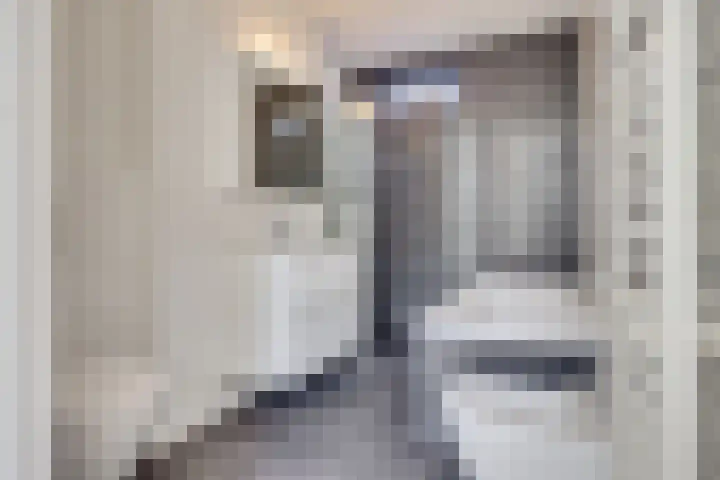 Zeemeeuwhof 15 Utrecht thumbnail 20